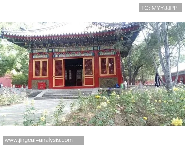 姚明走进故宫探寻文化之美与历史底蕴的精彩瞬间